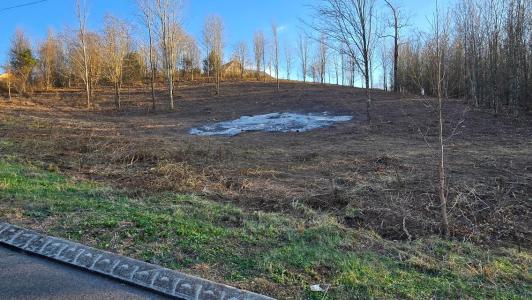 0 Hardin Road 74, Dunlap, Tennessee 37327, USA