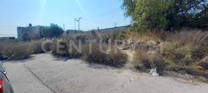 De las Torres 96,, Cuautitlán Izcalli, Estado De Mexico 54720, Mexico