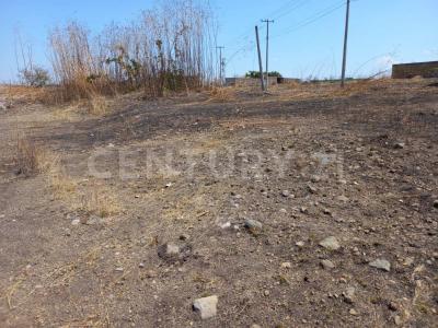 Av. José María Morelos Lt. 17, Mz. 06, Ejido de Tehuixtla de Jojutla,, Tequesquitengo, モレーロス 62915, メキシコ
