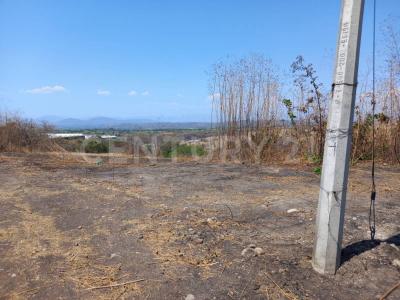 Av. José María Morelos Lt. 17, Mz. 06, Ejido de Tehuixtla de Jojutla,, Tequesquitengo, モレーロス 62915, メキシコ