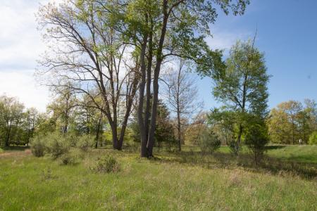 11463 Killarney Dr., Stanwood, Michigan 49346