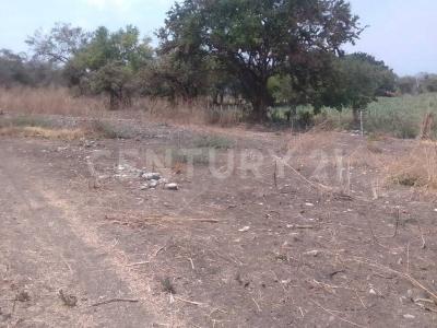 San Felipe s/n,, Yautepec, Morelos 62733, Mexique