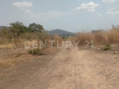 San Felipe s/n,, Yautepec, Morelos 62733, Mexico