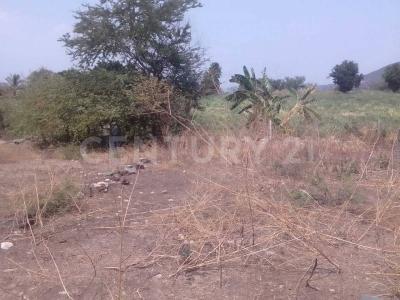 San Felipe s/n,, Yautepec, Morelos 62733, Mexico