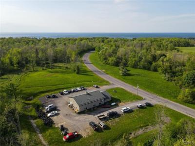 21 Fred Haynes Boulevard, Oswego, Нью-Йорк 13126, Соединенные Штаты
