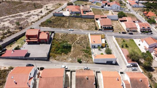 Chamusca, Santarém 2140-667, Portugal