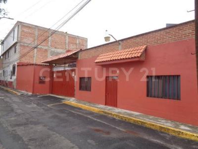 Primavera ,, Alvaro Obregón, Ciudad De México 01600, Mexico