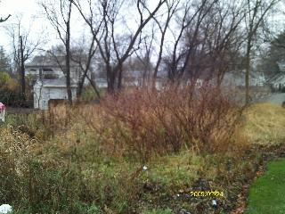 1302 Ardmore Drive, Round Lake Beach, 일리노이 60073, 미국