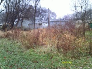 1302 Ardmore Drive, Round Lake Beach, Illinois 60073, USA