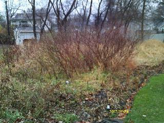 1302 Ardmore Drive, Round Lake Beach, 일리노이 60073, 미국