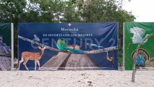 Calle 21 NA,, Mococha, Yucatan 97454, Mexico