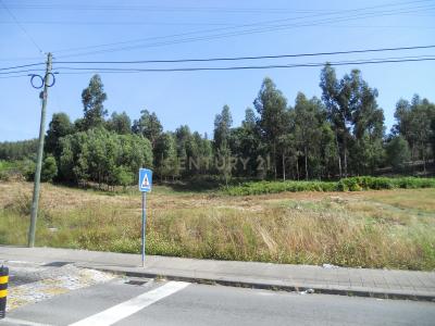 Valongo, Porto 4440-001, Portogallo