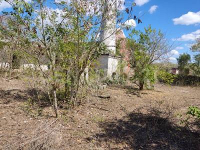 Progreso, Yucatan 97320, Mexico