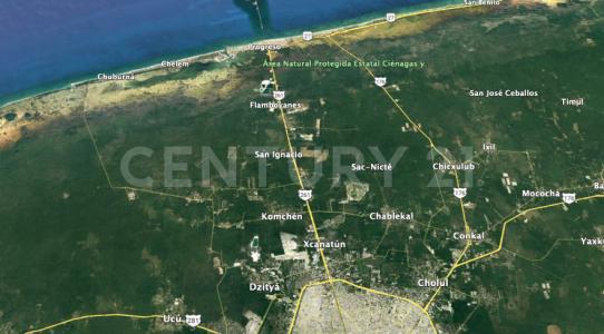 Progreso, Jukatan 97320, Meksyk