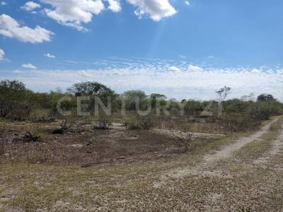 Progreso, Jukatan 97320, Meksyk