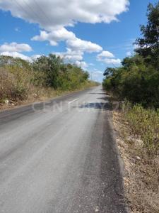 Progreso, Jukatan 97320, Meksyk