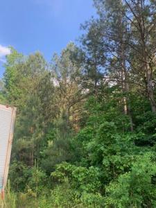 0 Gastonbury Way, Cohutta, Georgia 30710, Estados Unidos
