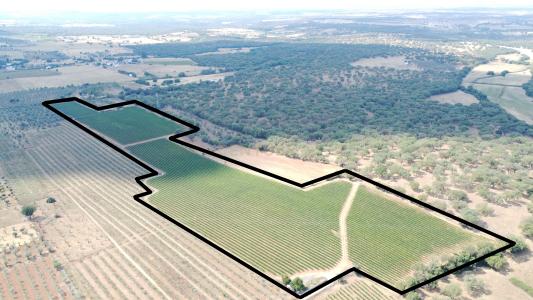 Estremoz, Évora 7100, Portugal