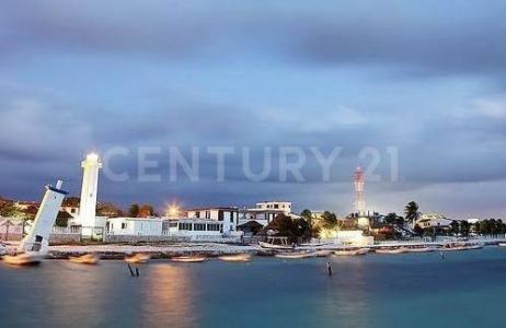 Punta arena SN,, Puerto Morelos, Quintana Roo 77586, Mexico