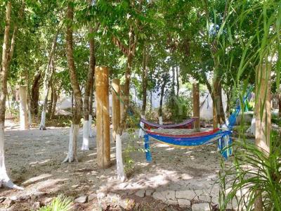 Punta arena SN,, Puerto Morelos, Quintana Roo 77586, Mexico