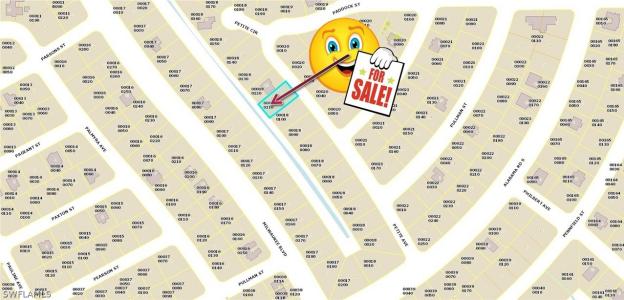 310 Petite Avenue, Lehigh Acres, Florida 33974, USA
