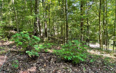 Lot 8d Eagle Heights, Hiawassee, 喬治亞州 30546, 美國