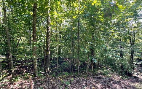 Lot 8d Eagle Heights, Hiawassee, 喬治亞州 30546, 美國