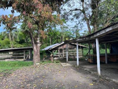 East Bank Demerara, 0000, Guyana