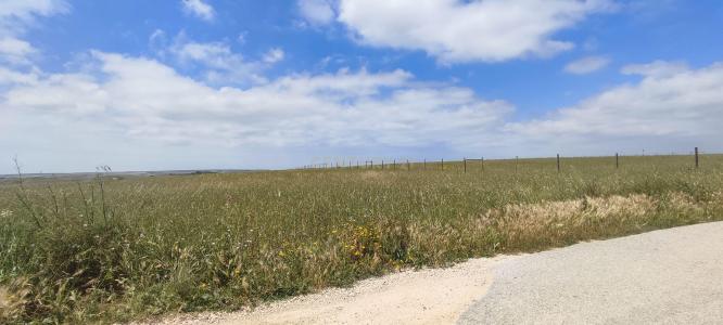 Vila Do Bispo, Faro 8650-283, Portogallo