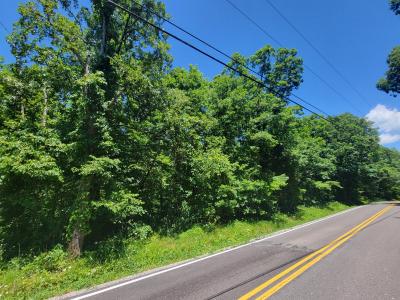 0 Simmons Rd , Lot 318, Pikeville, Tennessee 37367, USA