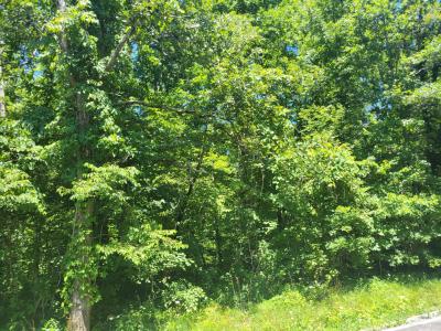 0 Simmons Rd , Lot 318, Pikeville, Tennessee 37367, USA