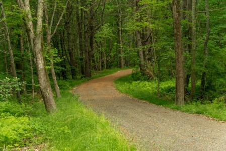 2 Lils Alley, York, Maine 03909, USA