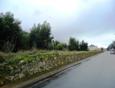 Caminha, Viana Do Castelo 4910-141, Portugal