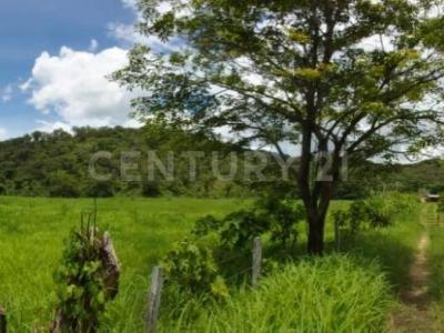 Carr. Villaflores-Arriaga 22km al entronque, frente al ejido agrónomos mexicanos. S/N,, Villaflores, Chiapas 30470, Mexico