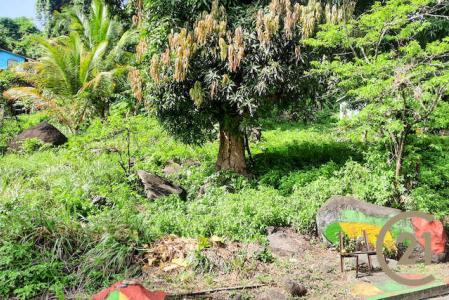 Marigot Main Road Land, Marigot, St.John West Indies, Granada