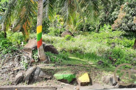 Marigot Main Road Land, Marigot, St.John West Indies, Granada