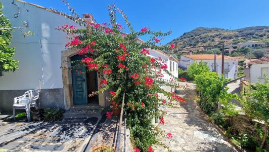 Vila Nova de Foz Côa, Guarda 5155-420, Portugal