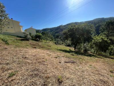 Coimbra, Coimbra 3030-226, Portugal