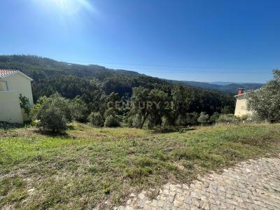 Coimbra, Coimbra 3030-226, Portugalia