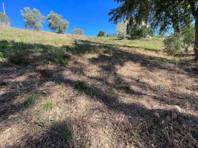 Coimbra, Coimbra 3030-226, Portugalia