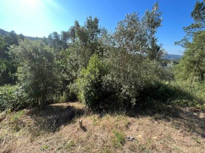 Coimbra, Coimbra 3030-226, Portugalia