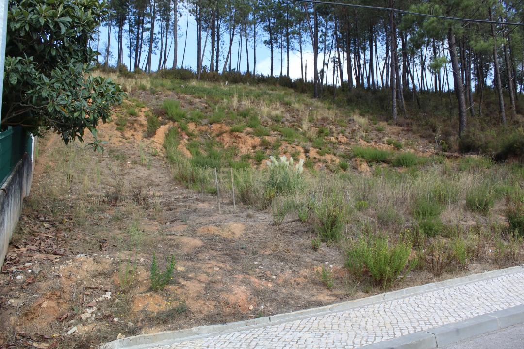 Land For Sale, Pombal Leiria 3100285 Portugal