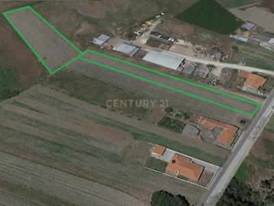 Estarreja, Aveiro 3860-675, Portugal