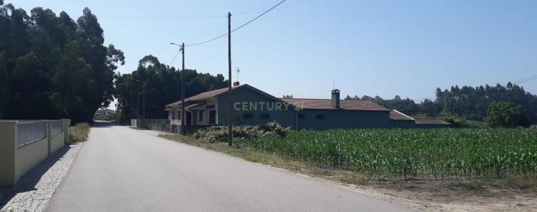 Estarreja, Aveiro 3860-675, Portugal