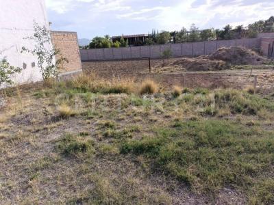 San Roman 136,, Jesús Maria, Aguascalientes 20984, México