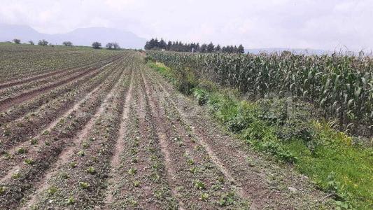 Sebastian Lerdo de Tejada S/N,, San Antonio La Isla, Estado De México 52280, Mexico