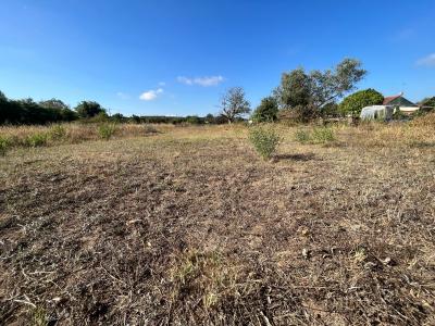 Montemor O Velho, Coimbra 3140-303, Portogallo