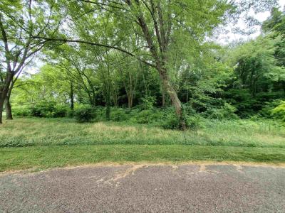 Ln 220 Lot 39 Lane, Hudson, Indiana 46747, HOA KỲ