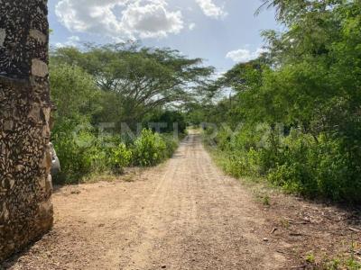 Uman, 尤卡坦 97390, 墨西哥