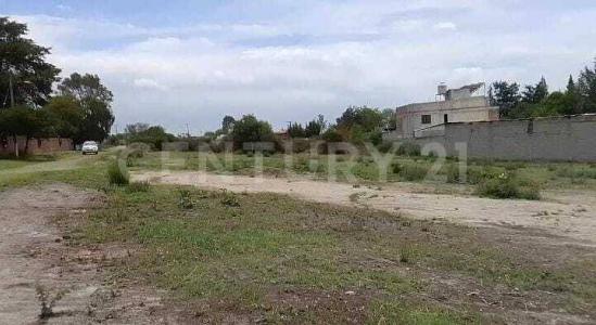 Las Rosas s/n,, Tepotzotlan, 멕시코 주 54653, 멕시코